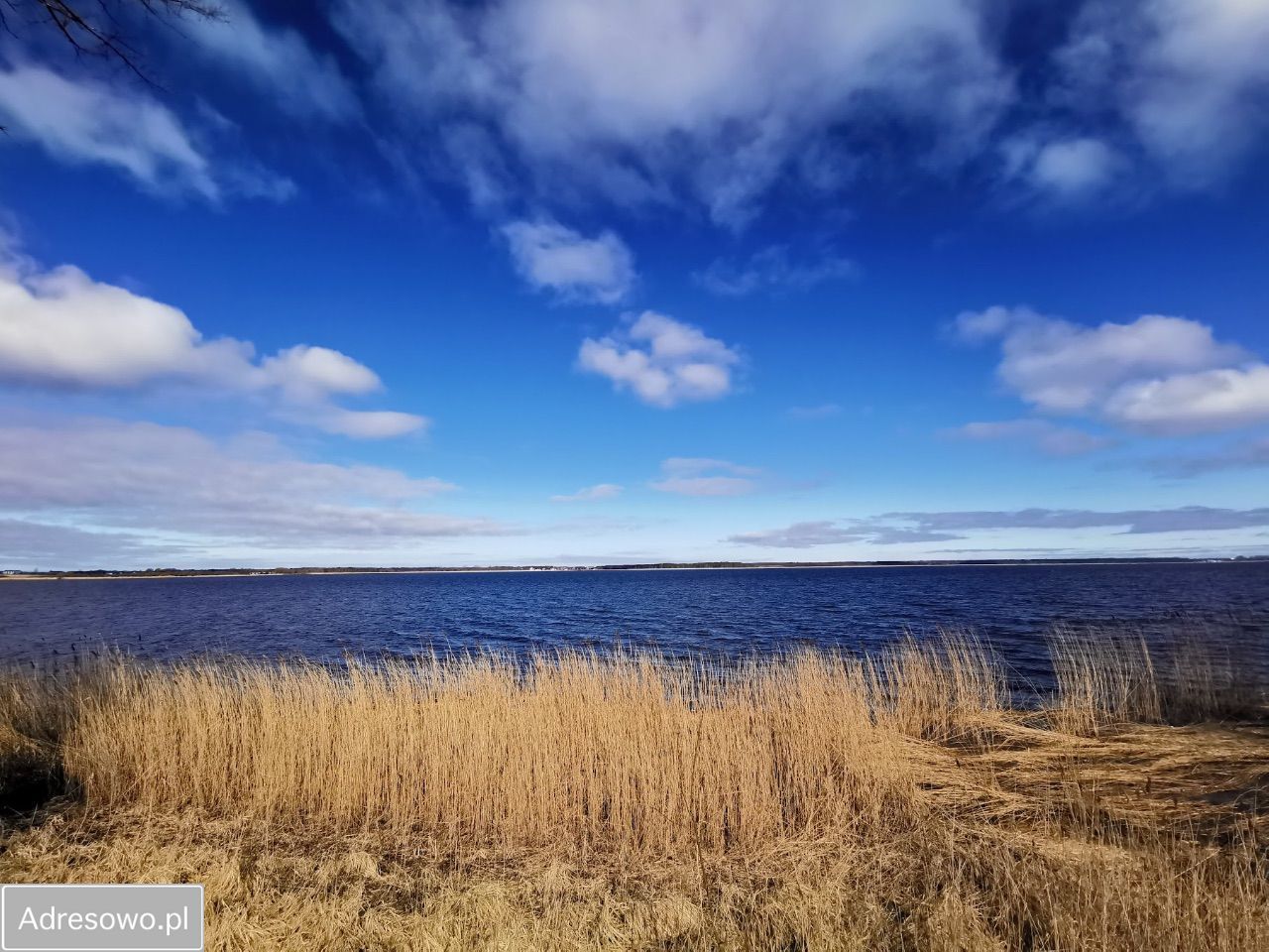 Działka budowlana Buniewice. Zdjęcie 4