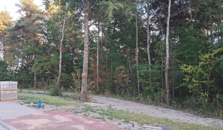 Działka inna Ostrowiec Świętokrzyski Gutwin, ul. Miodowa