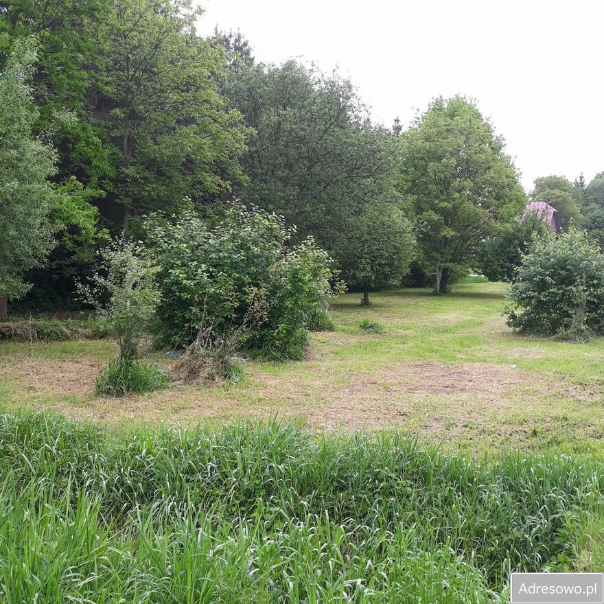 Działka rolna Krosno Białobrzegi. Zdjęcie 4