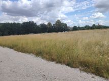 Działka budowlana Wolbromek. Zdjęcie 4