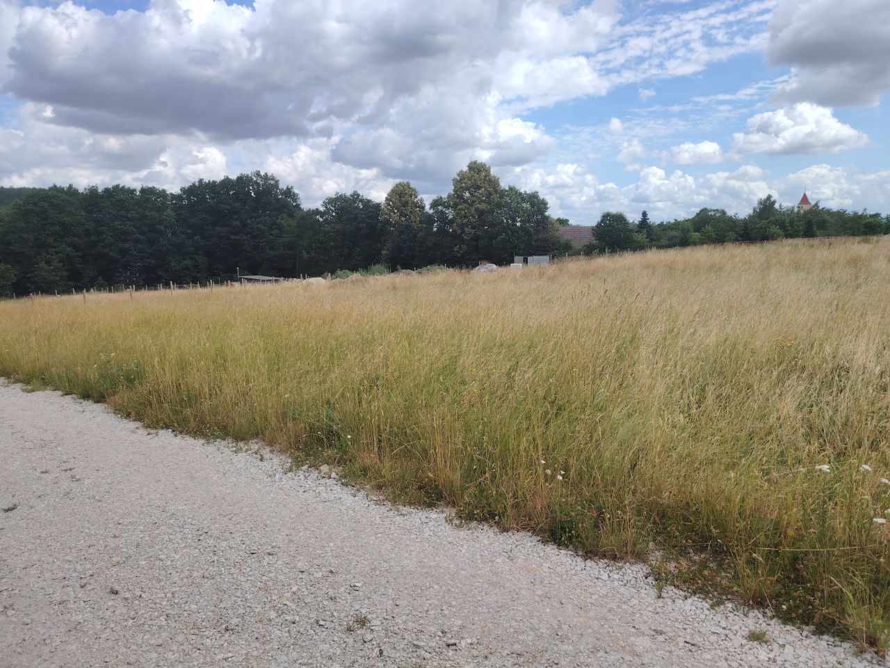 Działka budowlana Wolbromek. Zdjęcie 5