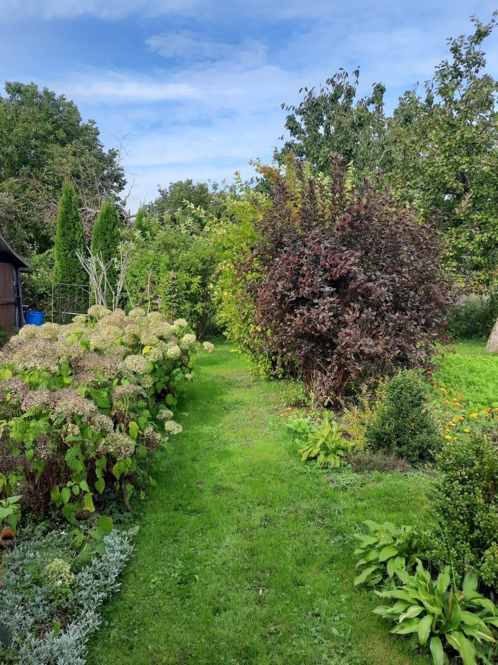 Działka rod Zalewo, ul. Kilińskiego. Zdjęcie 3