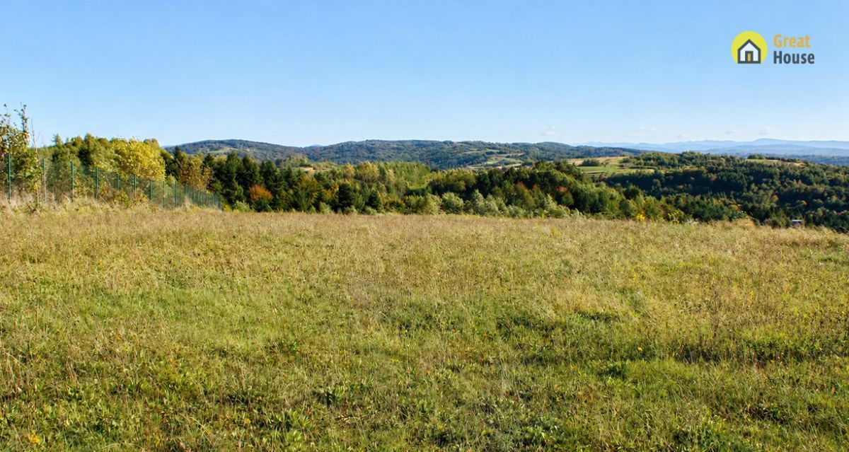 Działka inwestycyjna Golcowa. Zdjęcie 7