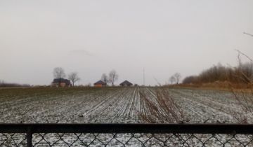 Działka budowlana Wierzbica