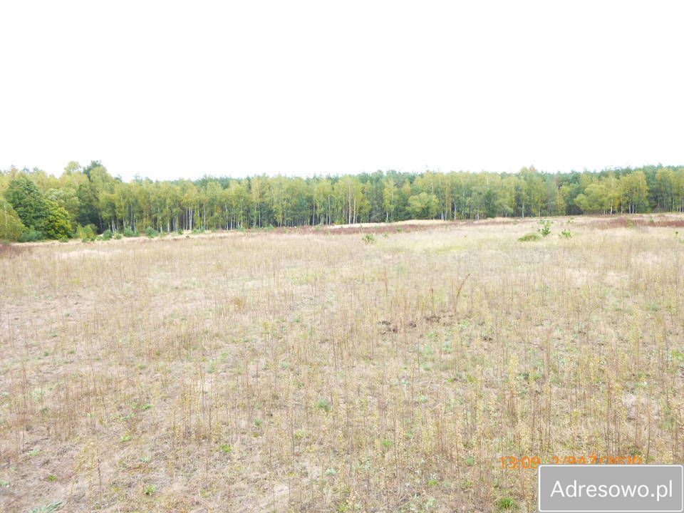 Działka rolna Cegielnia. Zdjęcie 4