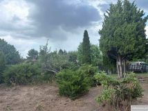 Działka rekreacyjna Słowik. Zdjęcie 1