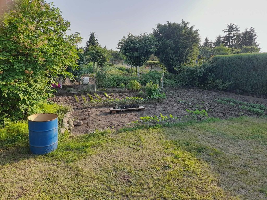 Działka rekreacyjna Czernica, ul. św. Ojca Pio. Zdjęcie 1