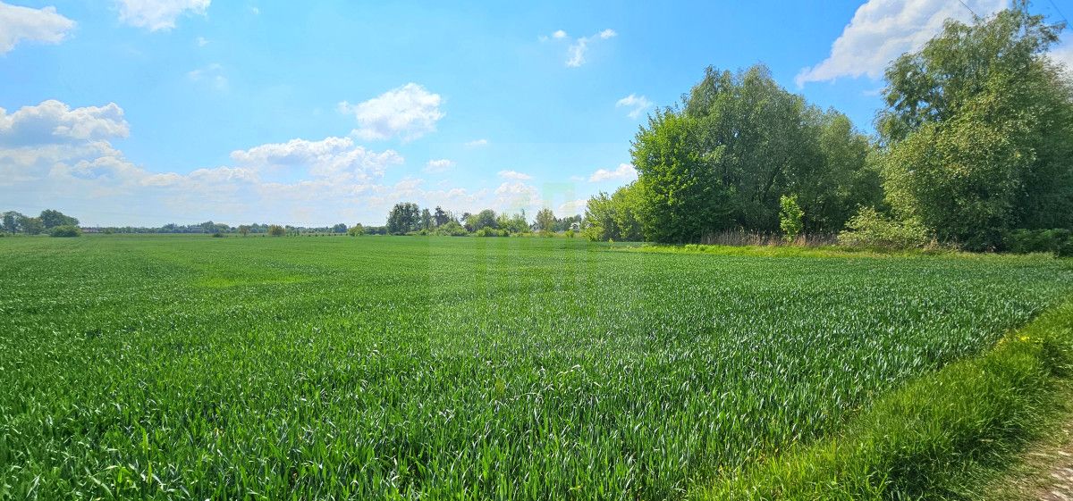 Działka budowlana Bieniewice, ul. Słowicza. Zdjęcie 10