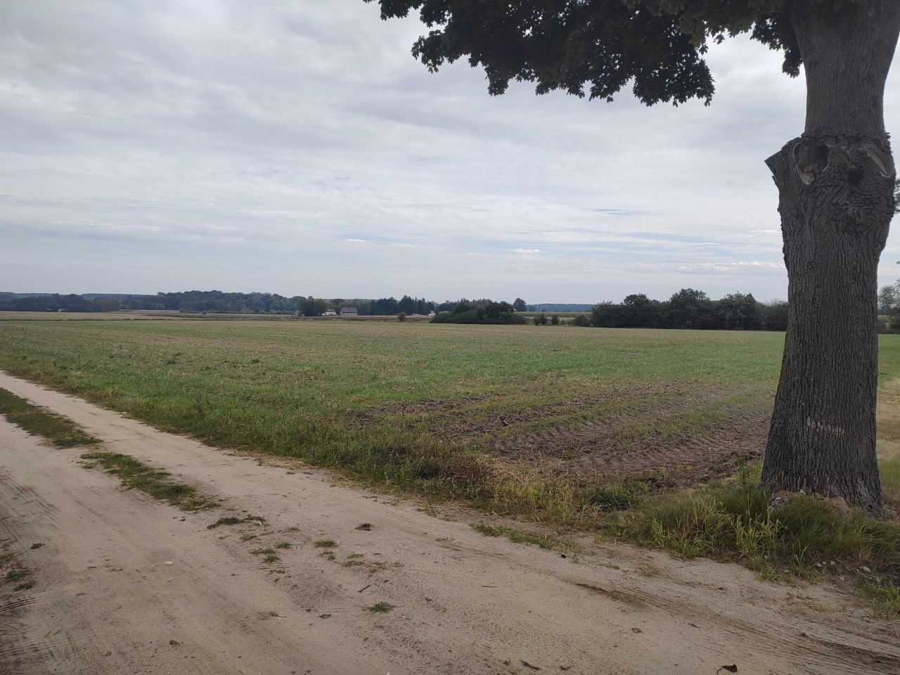 Działka budowlana Proboszczewice. Zdjęcie 3