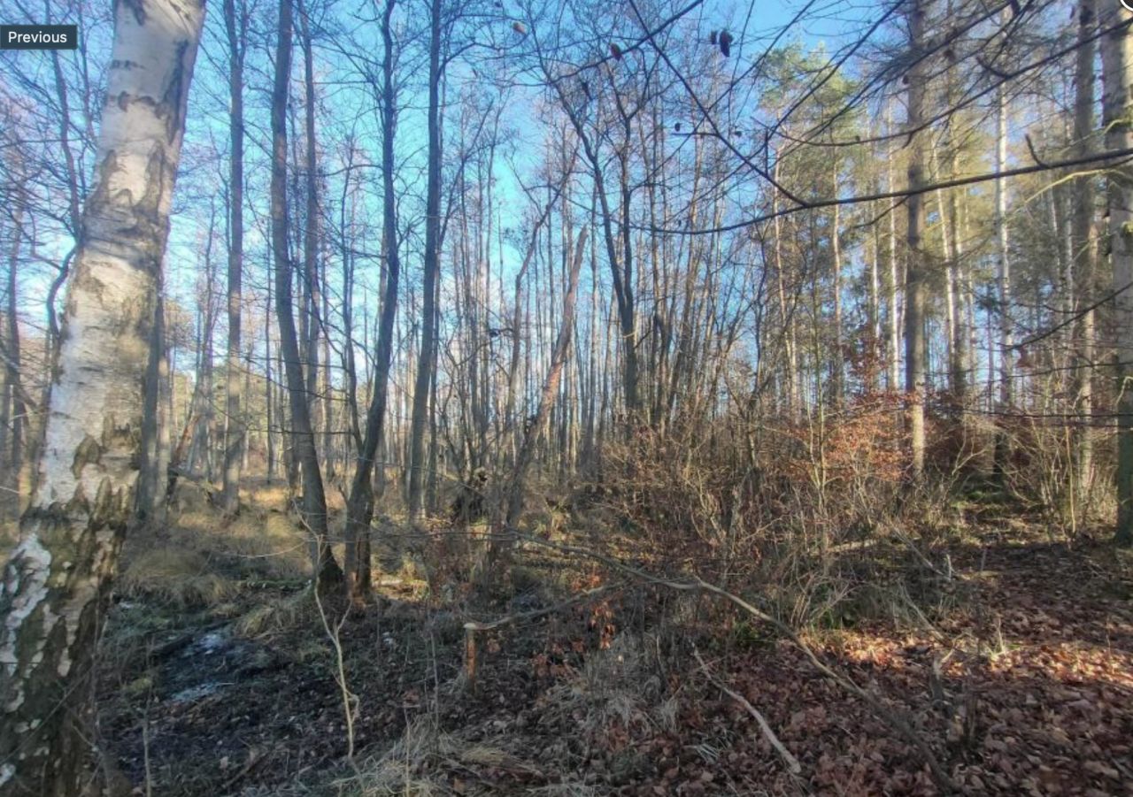 Działka rolna Dalno. Zdjęcie 7