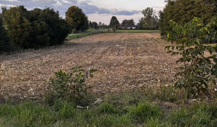 Działka budowlana Białobrzegi