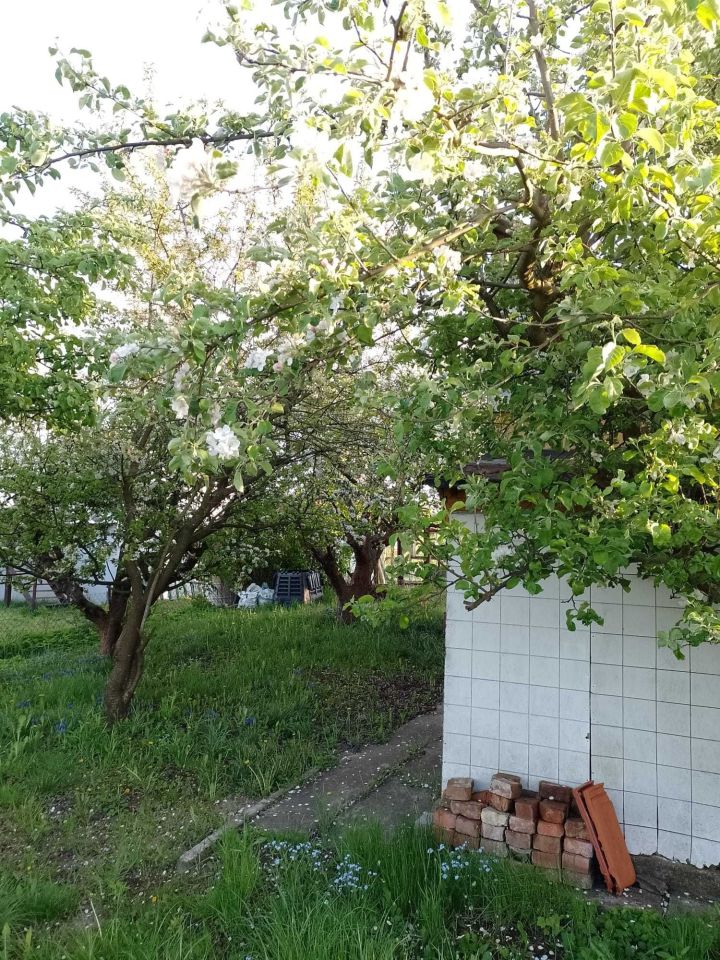 Działka rod Tczew, ul. Targowa. Zdjęcie 5