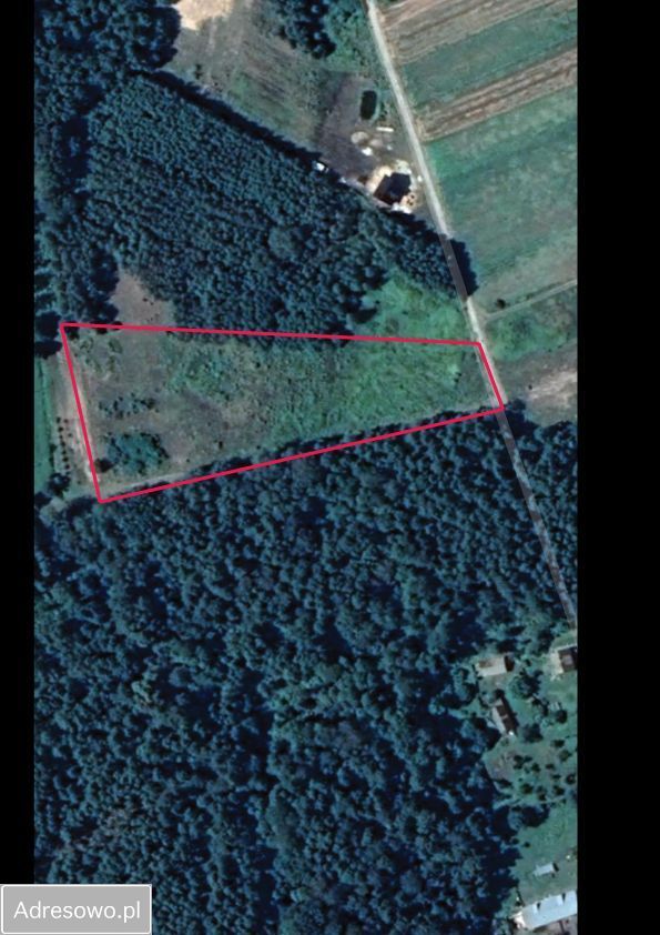 Działka budowlana Kłyżów Krzaki. Zdjęcie 5