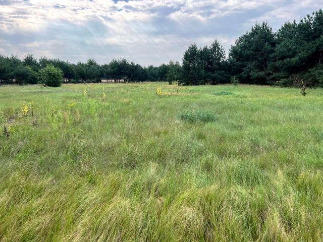 Działka rolna Szynkarzyzna. Zdjęcie 1