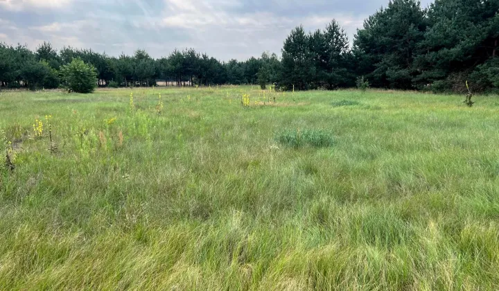 Działka rolna Szynkarzyzna