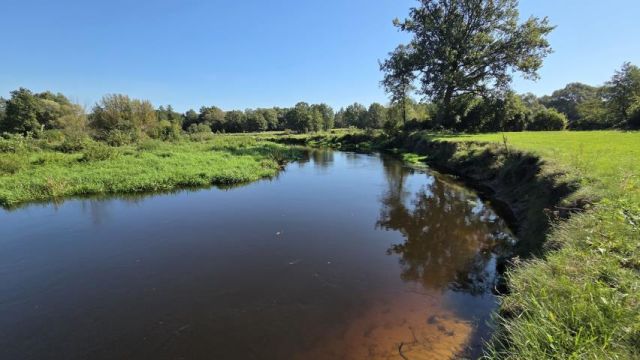 Działka rolna Dziektarzewo. Zdjęcie 2