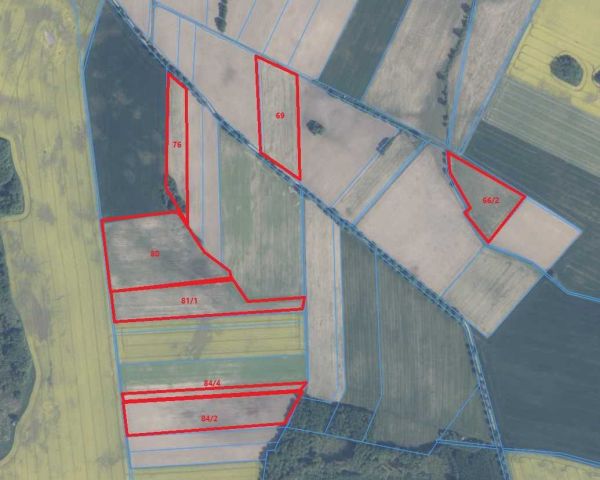 Działka rolna Borucino. Zdjęcie 1