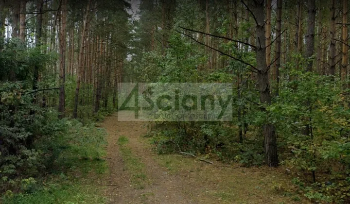 Działka budowlana Ojrzanów