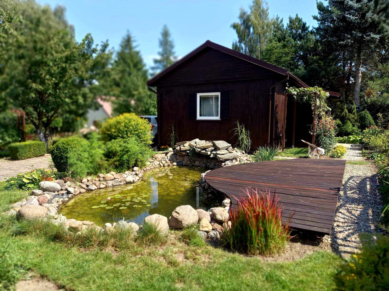 Działka rod Niewodnica Kościelna, ul. Działkowców. Zdjęcie 7