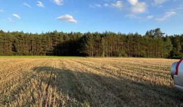 Działka rolna Niziołki-Dobki