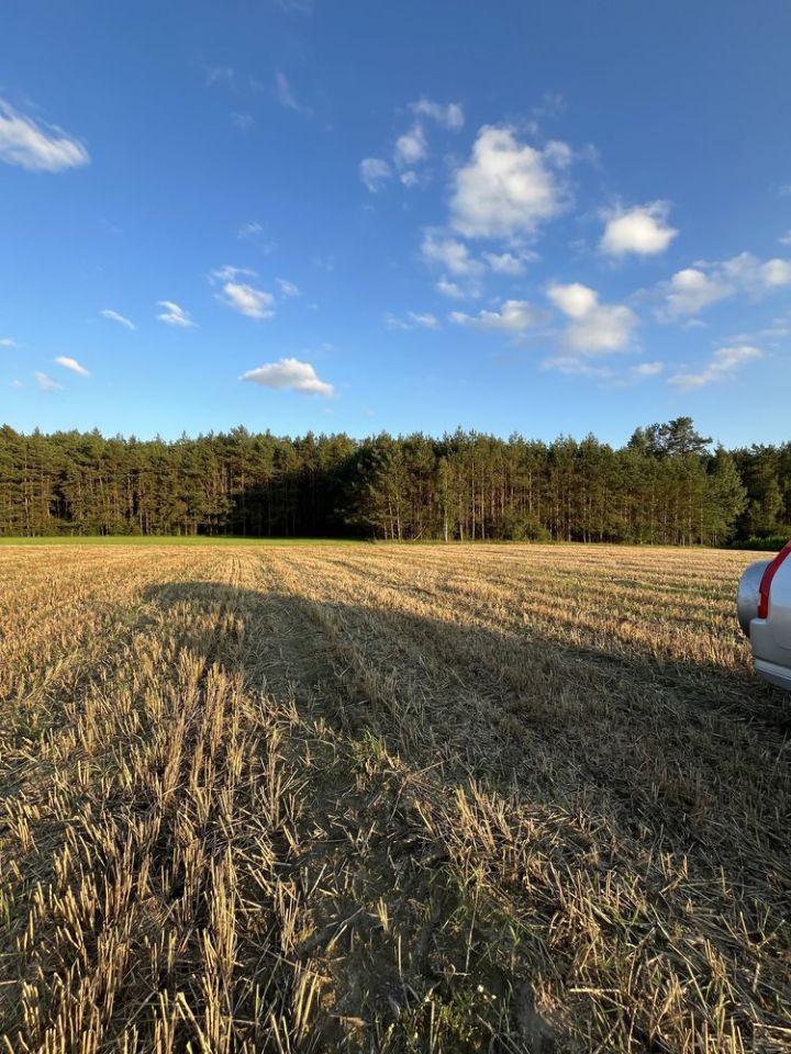 Działka rolna Niziołki-Dobki. Zdjęcie 2