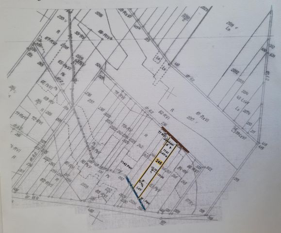 Działka leśna Kuzawa. Zdjęcie 1