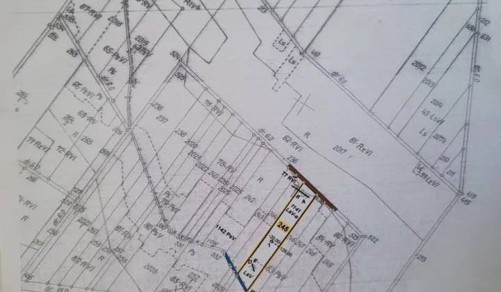 Działka leśna Kuzawa