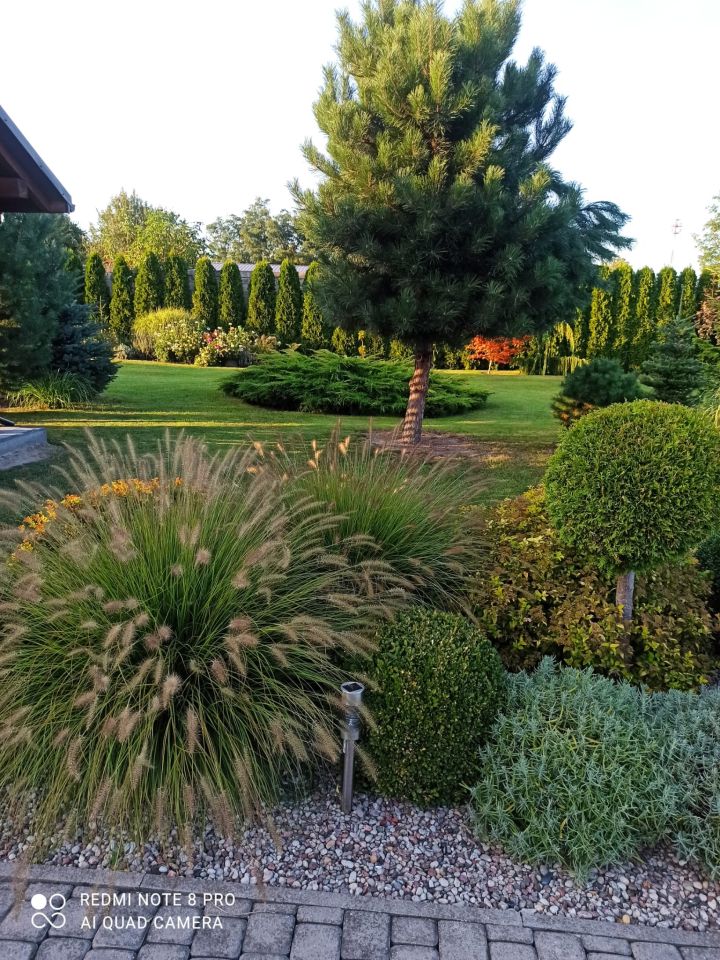 gospodarstwo, 7 pokoi Kumów Majoracki, Kumów Majoracki. Zdjęcie 4