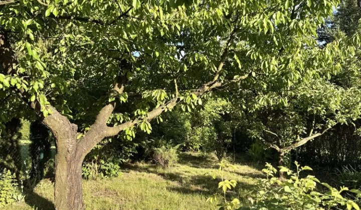 Działka rod Dąbrowa Górnicza Łęknice