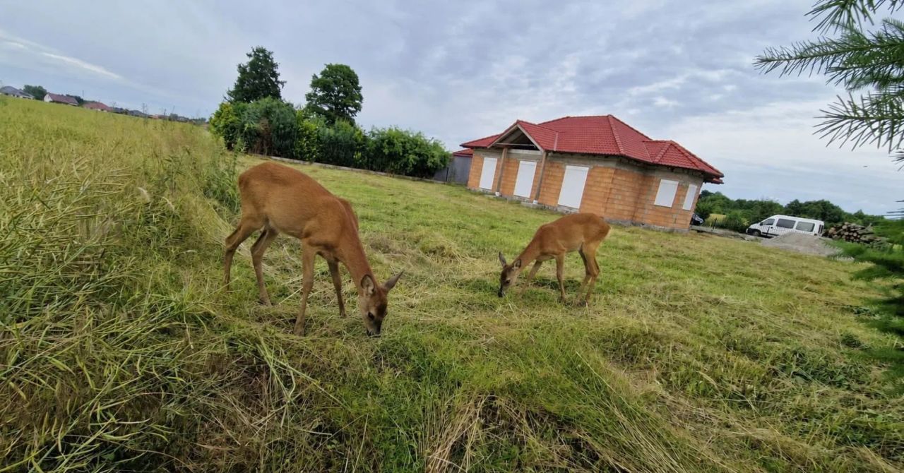 dom wolnostojący Gorzów Wielkopolski Karnin, ul. Rodła. Zdjęcie 4