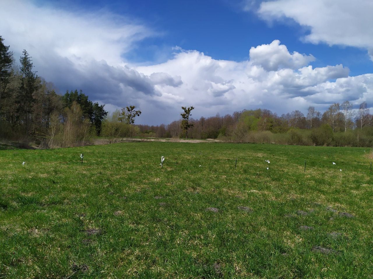 Działka budowlana Jałowiec, ul. Łąki. Zdjęcie 12