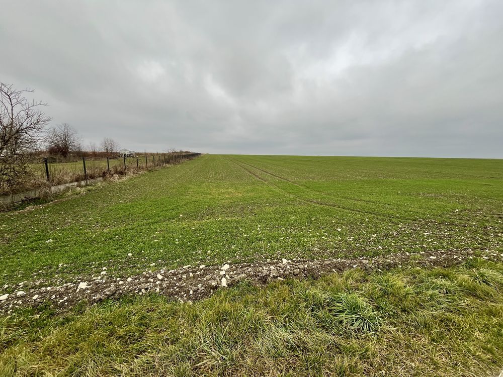 Działka budowlana Trzciniec. Zdjęcie 6