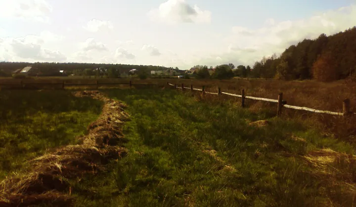 Działka rolna Białogóra