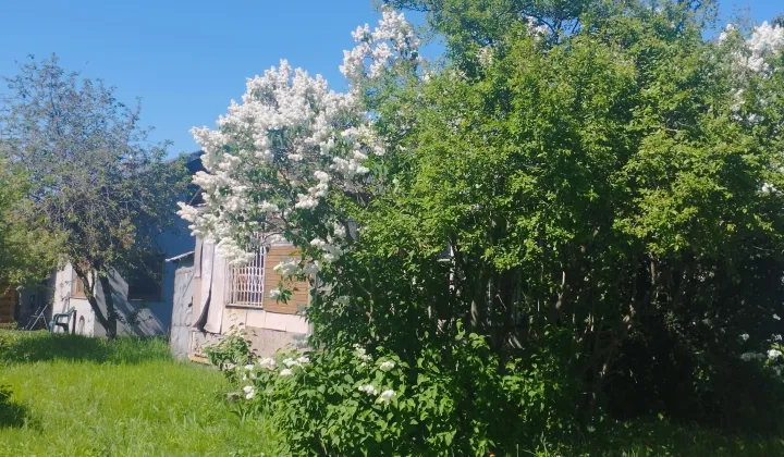 Działka rod Warszawa Targówek, ul. Janowiecka