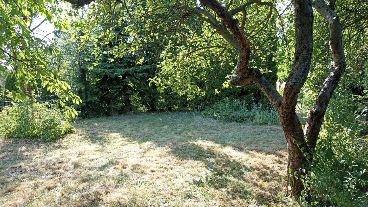 Działka rod Poznań Jeżyce, ul. Bukowska. Zdjęcie 4