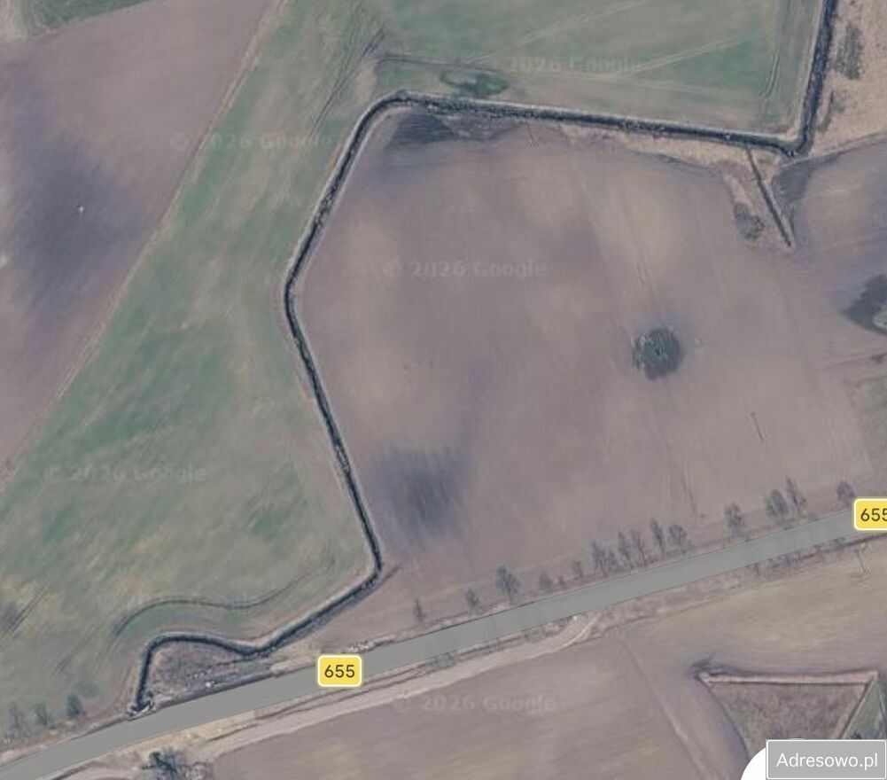Działka rolna Gawliki Wielkie. Zdjęcie 5