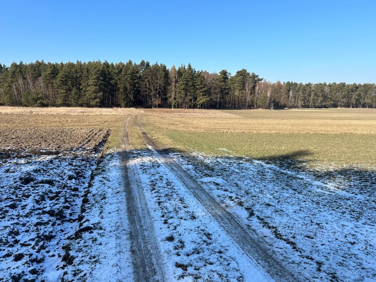 Działka rolna Dąbrówka. Zdjęcie 7