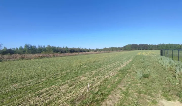 Działka rekreacyjna Krasne