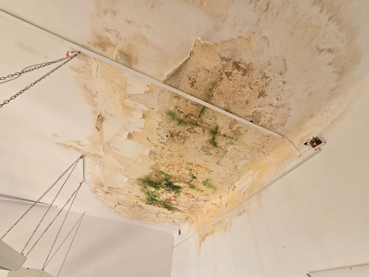 Nieruchomość komercyjna Boćwinka. Zdjęcie 28