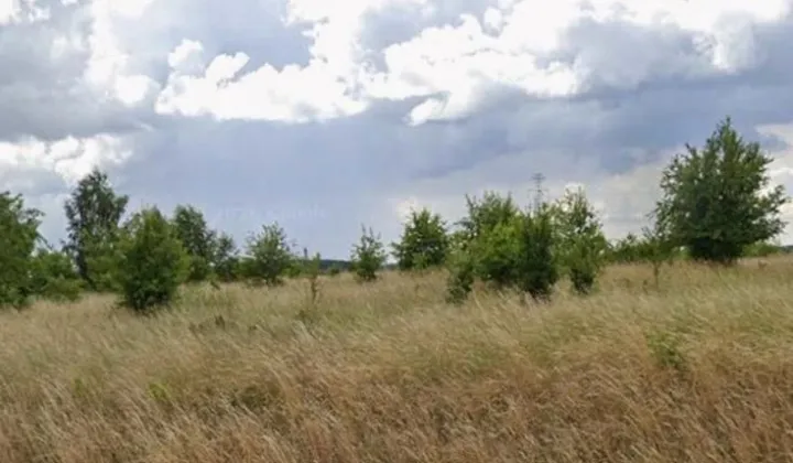 Działka budowlana Pakość