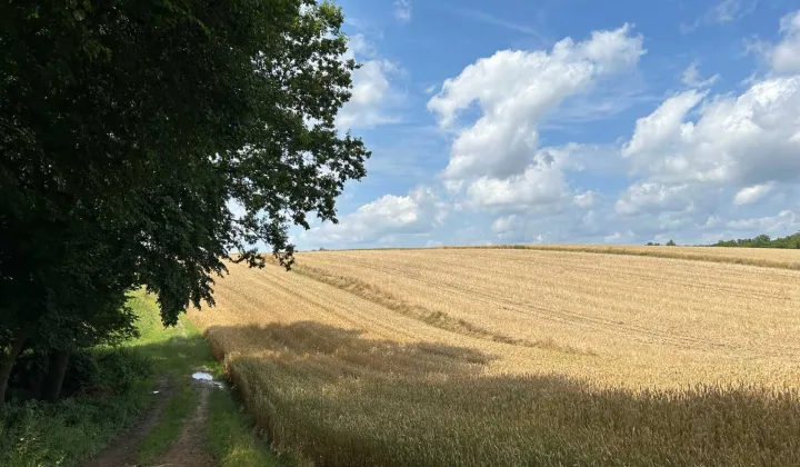 Działka rolna Wolica Uchańska