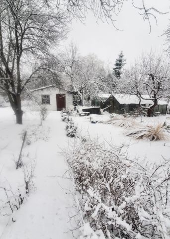 Działka rod Jelenia Góra Czarne, ul. Sudecka. Zdjęcie 1