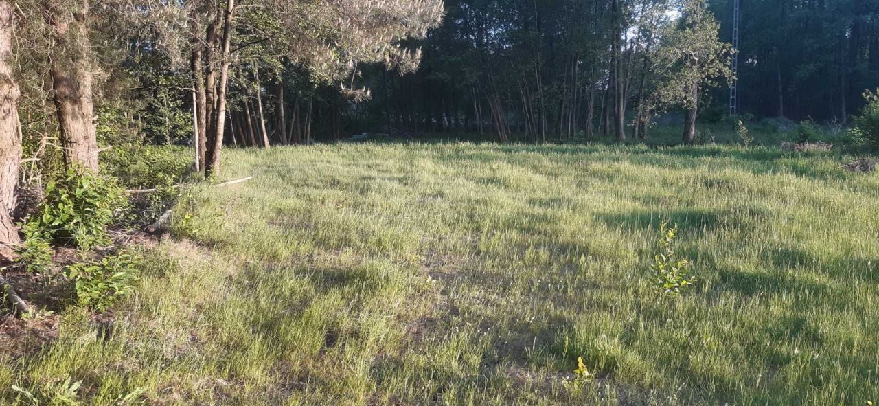 Działka rekreacyjna Budy Lucieńskie. Zdjęcie 6