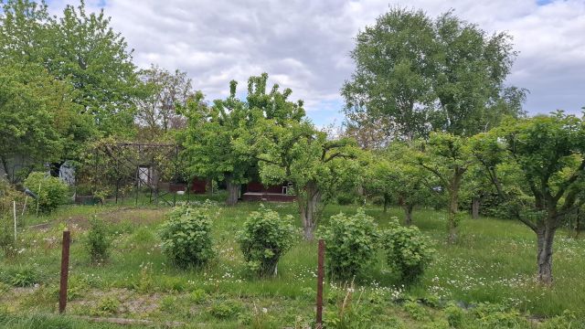 Działka rod Płock Radziwie, ul. Dobrzykowska. Zdjęcie 1