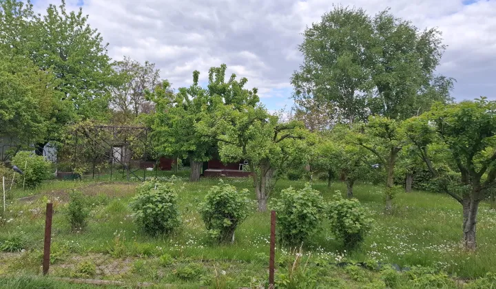 Działka rod Płock Radziwie, ul. Dobrzykowska