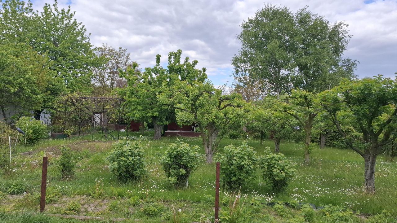 Działka rod Płock Radziwie, ul. Dobrzykowska