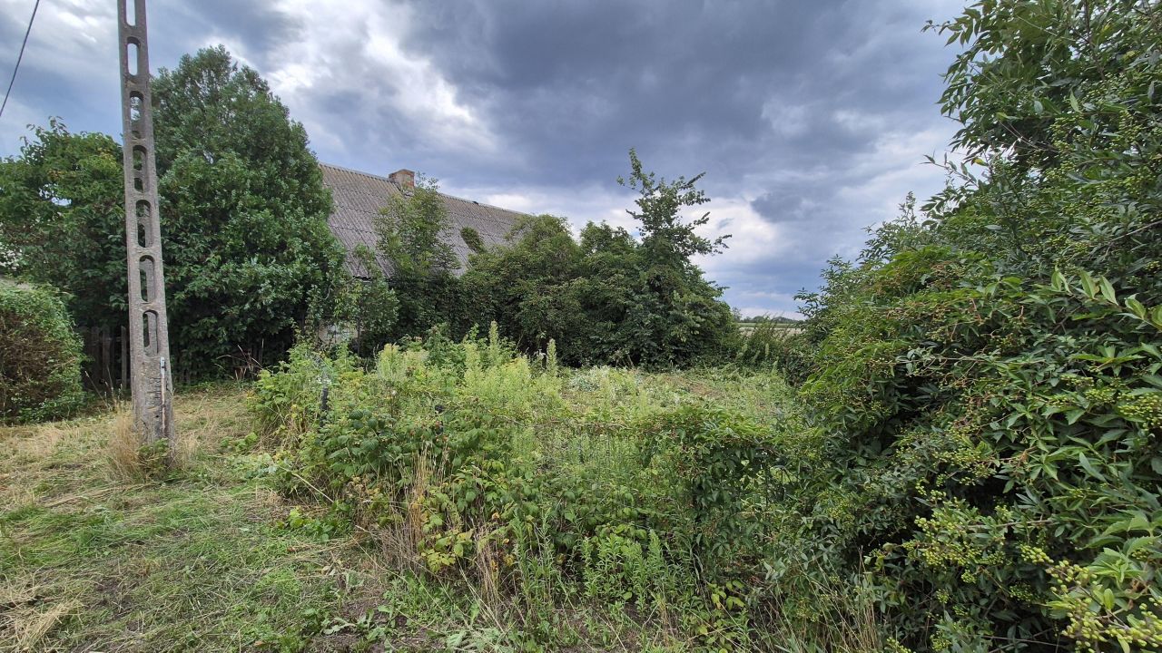 siedlisko, 2 pokoje Giżewo. Zdjęcie 14