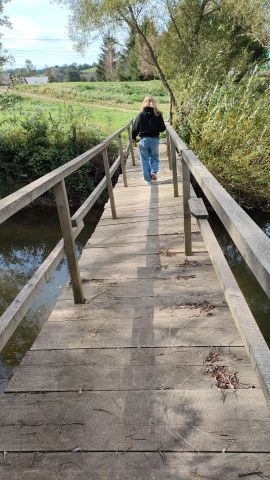 Działka rolna Brzuska. Zdjęcie 10