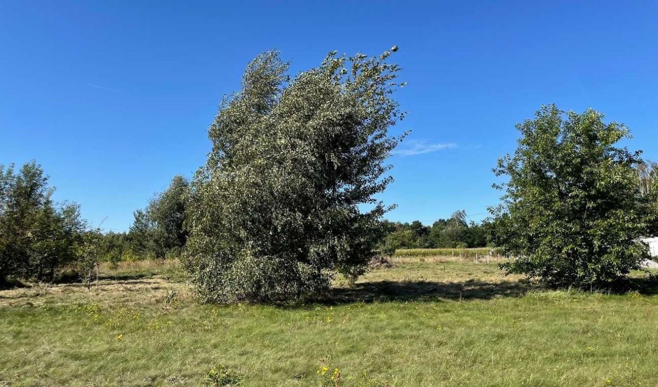 Działka budowlana Teresin