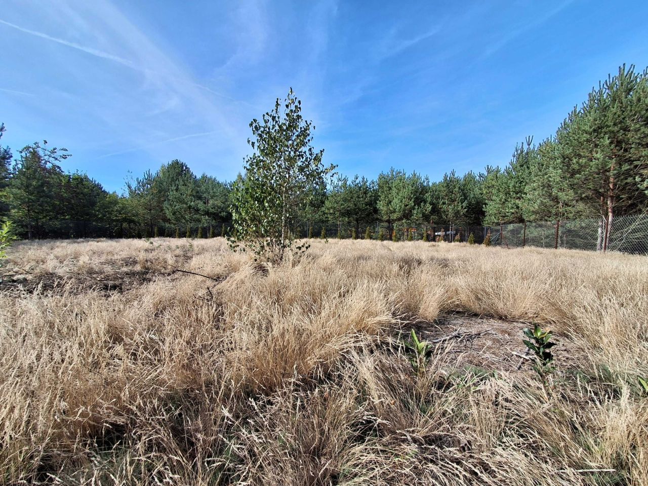 Działka rekreacyjna Zuzinów. Zdjęcie 6